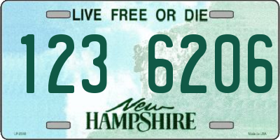 NH license plate 1236206
