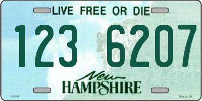 NH license plate 1236207