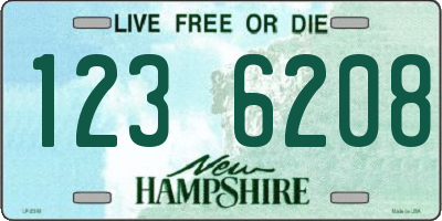 NH license plate 1236208