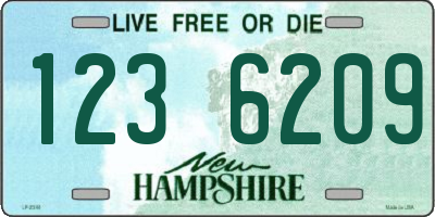 NH license plate 1236209