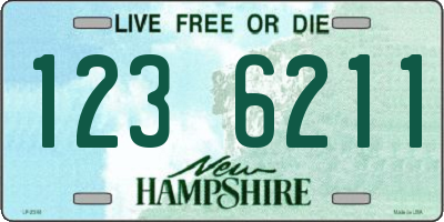 NH license plate 1236211