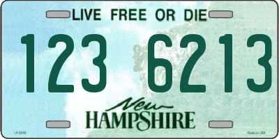 NH license plate 1236213