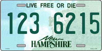 NH license plate 1236215