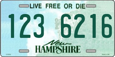 NH license plate 1236216
