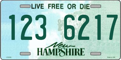 NH license plate 1236217