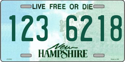 NH license plate 1236218