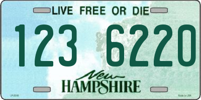 NH license plate 1236220