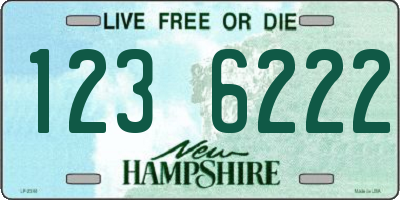 NH license plate 1236222