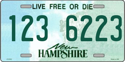 NH license plate 1236223