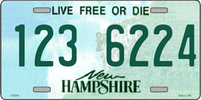 NH license plate 1236224