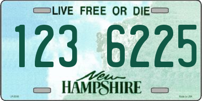 NH license plate 1236225