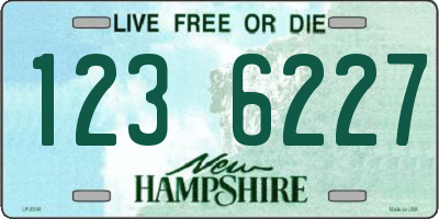 NH license plate 1236227