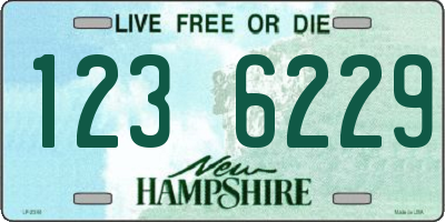 NH license plate 1236229