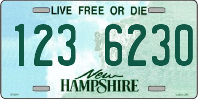 NH license plate 1236230