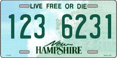 NH license plate 1236231