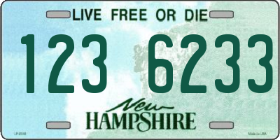 NH license plate 1236233