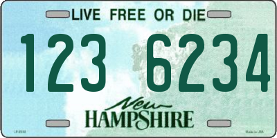 NH license plate 1236234