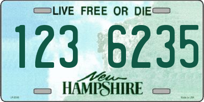 NH license plate 1236235