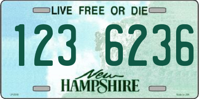 NH license plate 1236236