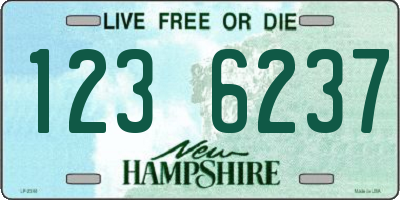 NH license plate 1236237