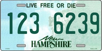 NH license plate 1236239