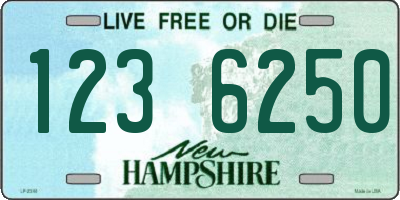 NH license plate 1236250