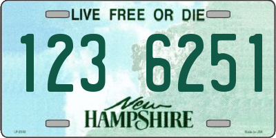 NH license plate 1236251