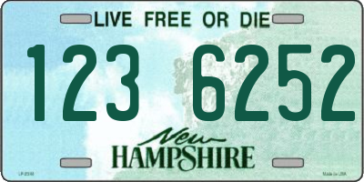 NH license plate 1236252