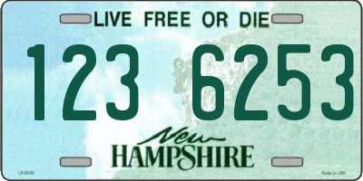 NH license plate 1236253