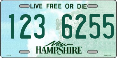 NH license plate 1236255