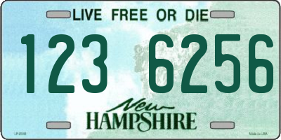 NH license plate 1236256