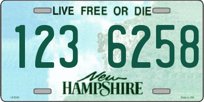 NH license plate 1236258