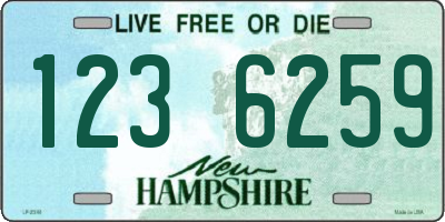 NH license plate 1236259