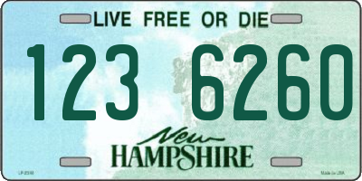NH license plate 1236260