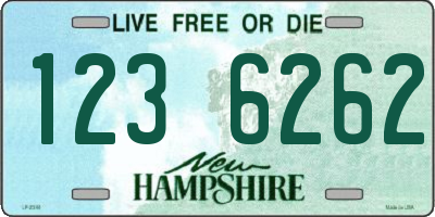 NH license plate 1236262