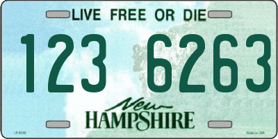 NH license plate 1236263