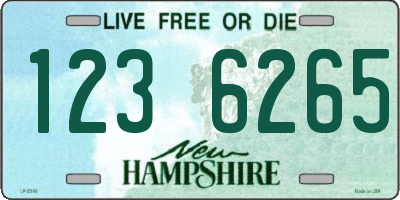 NH license plate 1236265