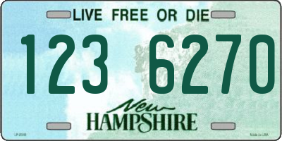 NH license plate 1236270