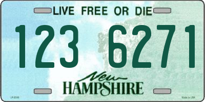 NH license plate 1236271