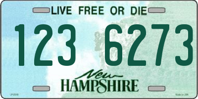 NH license plate 1236273