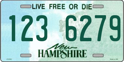 NH license plate 1236279