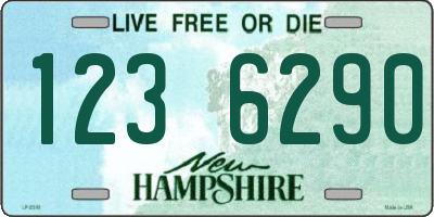 NH license plate 1236290