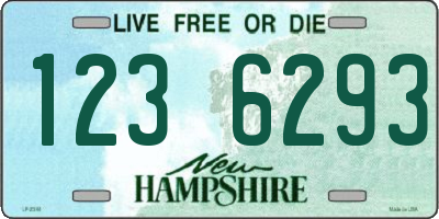 NH license plate 1236293