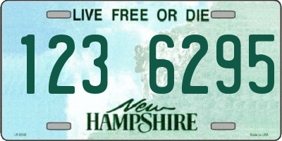 NH license plate 1236295