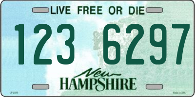 NH license plate 1236297