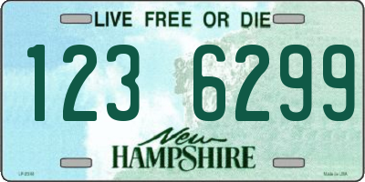 NH license plate 1236299