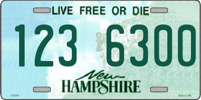 NH license plate 1236300
