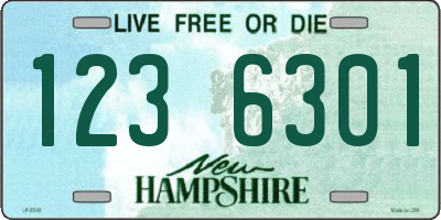 NH license plate 1236301