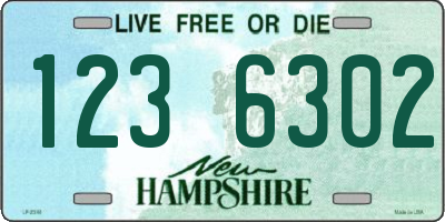 NH license plate 1236302