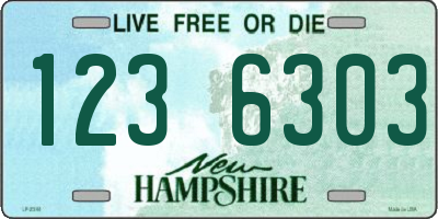 NH license plate 1236303